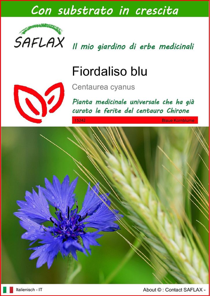 SAFLAX  - Fiordaliso blu - 27000 semi - Con substrato - Immagine del prodotto 