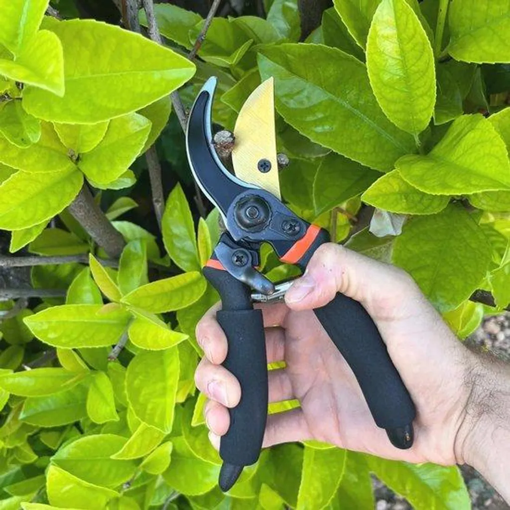 Ciseaux de jardinage 22mm : Finies les coupes nettes difficiles à faire