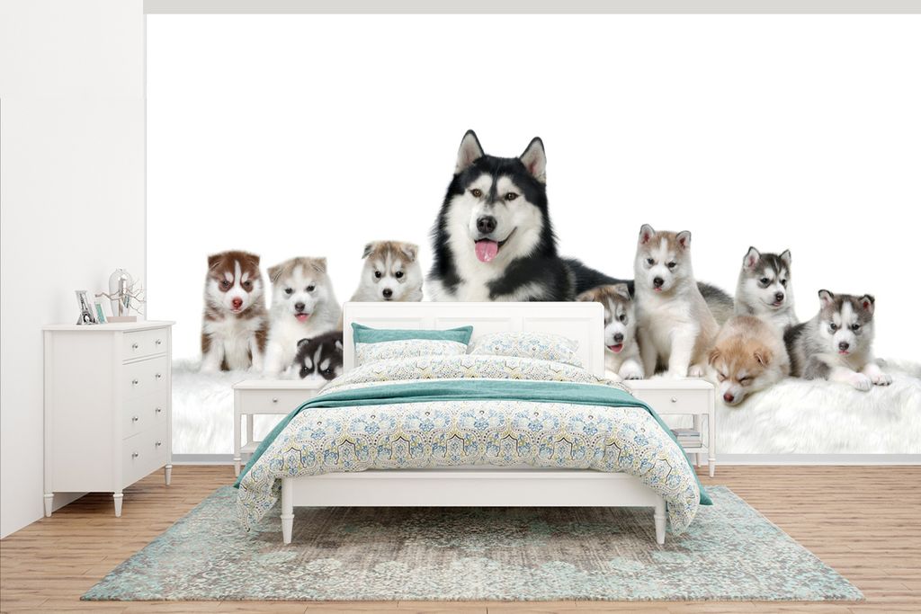 MuchoWow Fototapete für Wohnzimmer oder Schlafzimmer Wandtapete Vinyl Motivtapete Mutter mit Welpen - 465x260 cm - Hintergrundbild