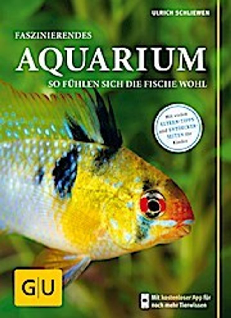 Faszinierendes Aquarium