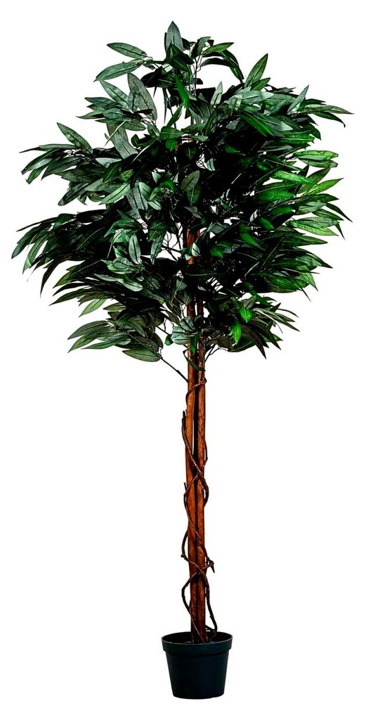 Mangobaum, Echtholzstamm, Kunstbaum, Kunstpflanze - 120cm oder 180 cm, Schadstoff - 180 cm