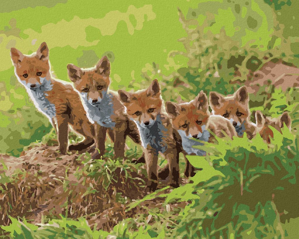 Zuty - Malen nach Zahlen - FUCHS UND IHRE BANDE, 40x50 cm, mit Keilrahmen (bereits gespannt)