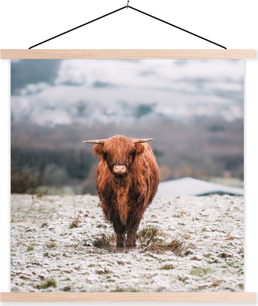 MuchoWow Textilposter Schottisches Hochlandrind - Schnee - Berg 120x120 cm mit holzfarbenen Rahmen - Textil-Poster