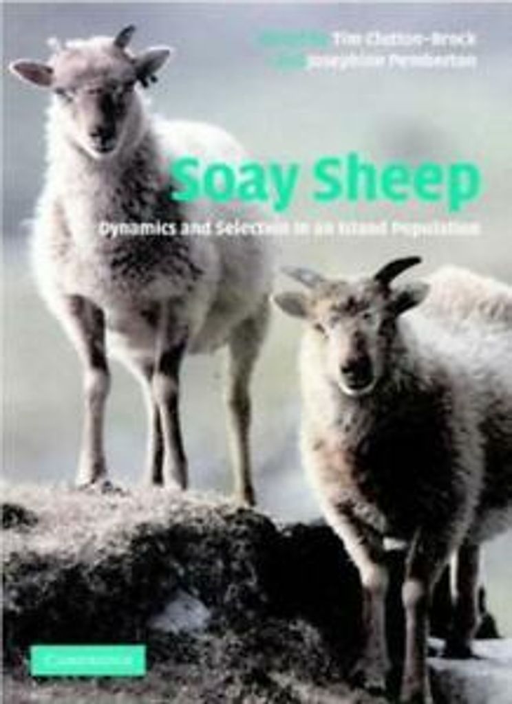 Soay Sheep.by Clutton-Brock, H. New .