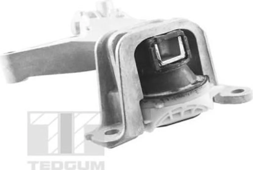 Support moteur renforcé TEDGUM TED61737 anti-vibrations 112105188R