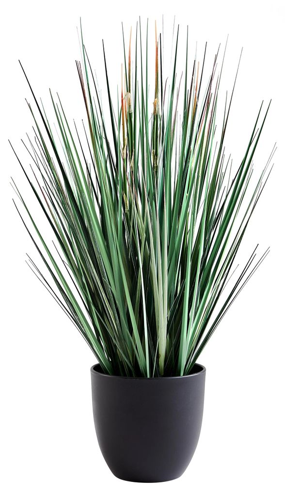 aplanta Künstliches Gras – Odalinde | 60 cm, für drinnen, Kunstpflanze, wie echt, Allergiker geeignet, pflanzliche Dekoration Praxis, Office & ...