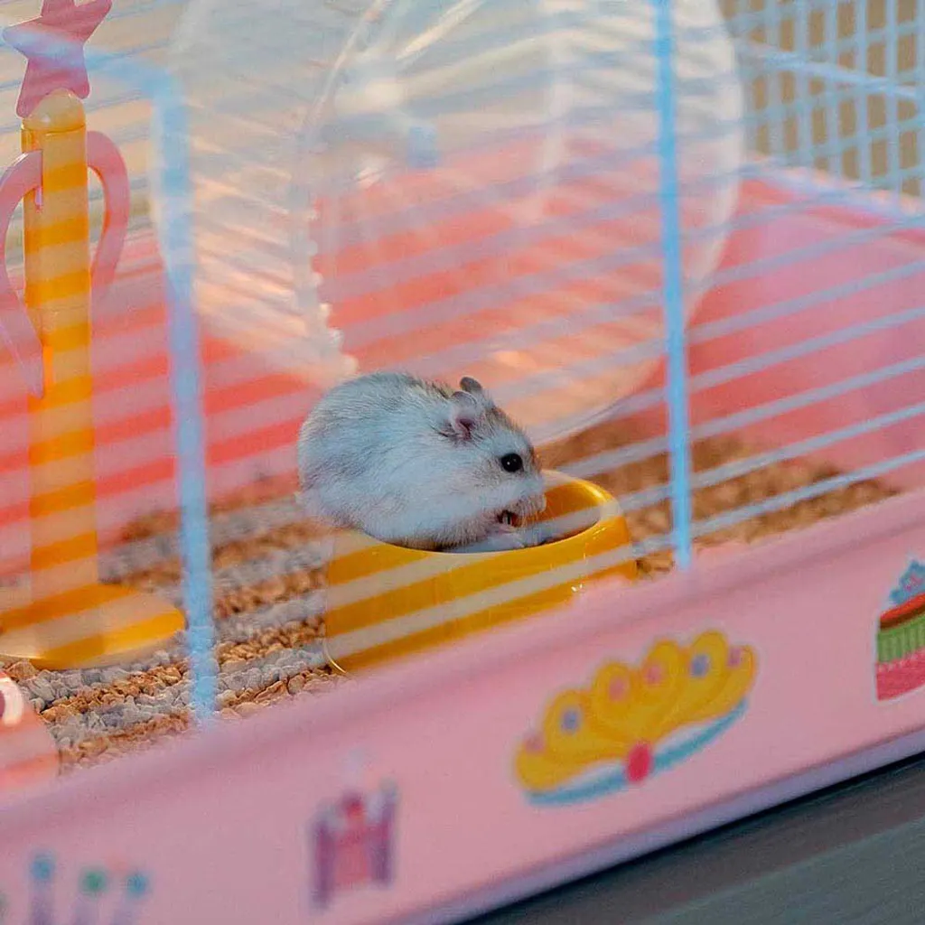 Cage hamster robuste Ferplast Criceti 9 Princess avec base détachable