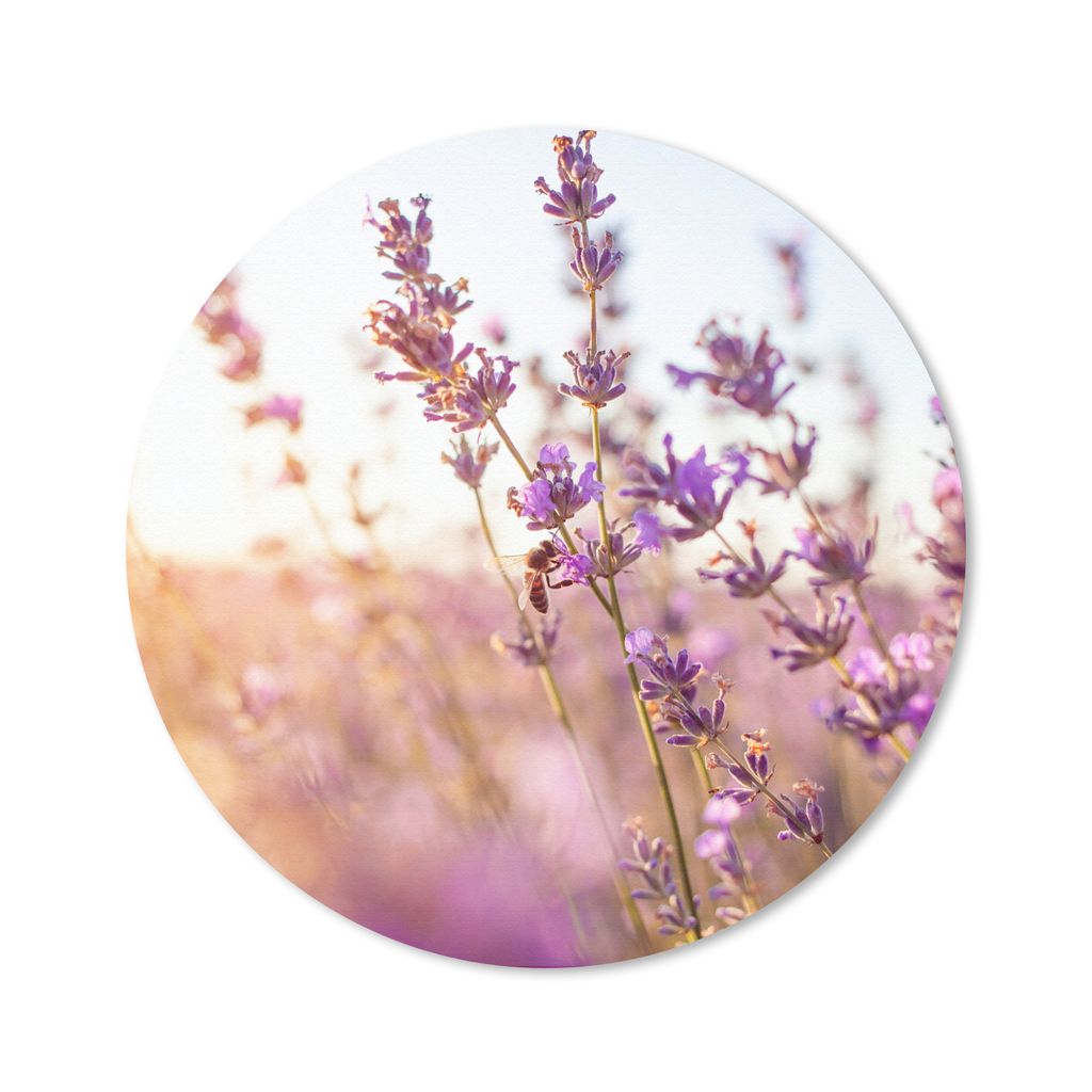 MuchoWow Mauspad Mousepad Lavendel - Nahaufnahme - Sonne - Blumen - Lila 50x50 cm - Mousepads - Maus Mat - Pad - Mausunterlage - Vinyl