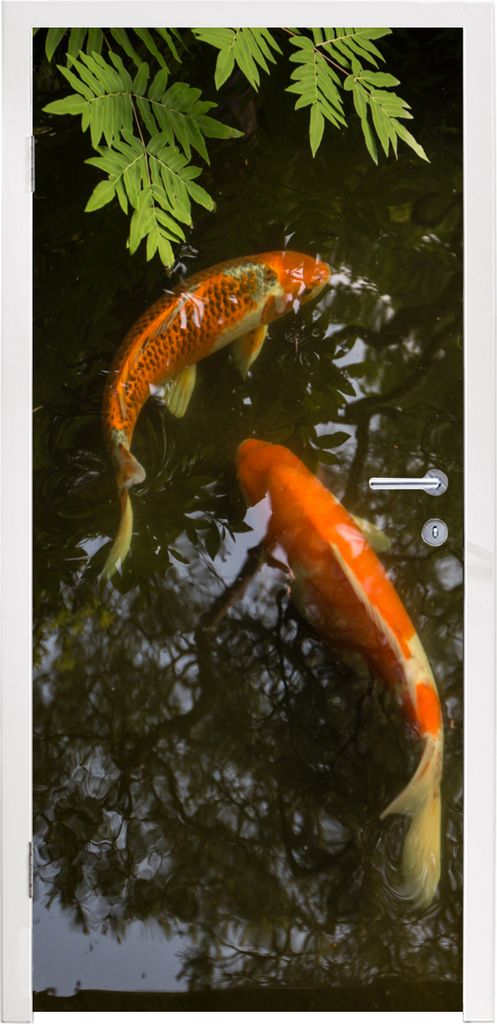 MuchoWow Türtapete Selbstklebende Türfolie Zwei Koi-Karpfen um einen Teich 85x215 cm Türposter Türaufkleber Klebefolie Türklebefolie - Aufkl...