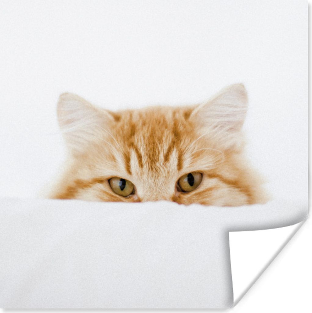 MuchoWow Poster Katze - Rot - Weiß - Mädchen - Jungen - Kind 30x30 cm - Wandposter - Printing