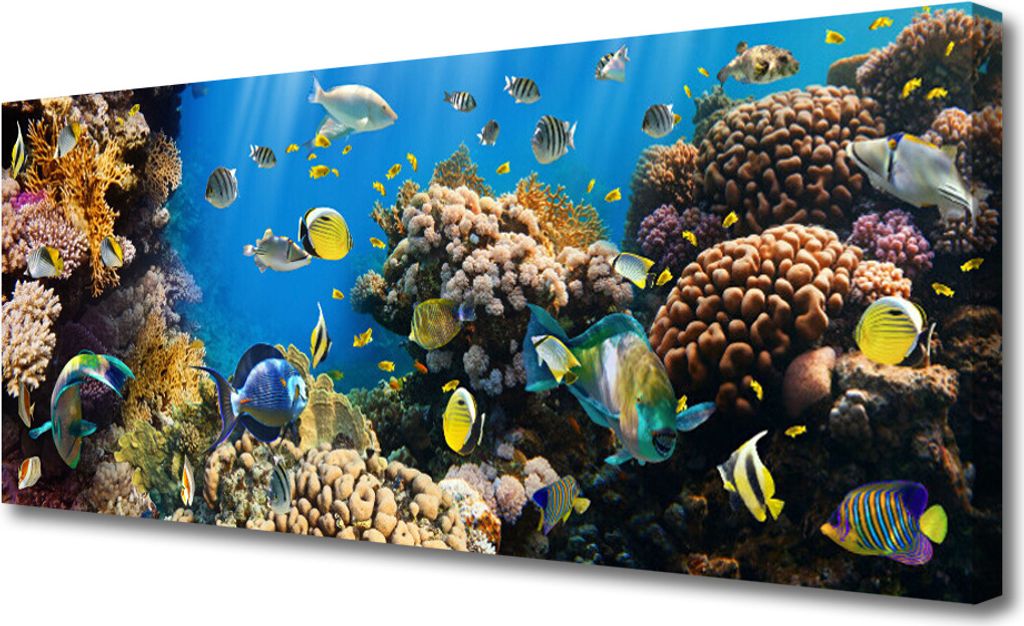 Tulup Leinwand-Bilder 125x50 Wandbild Canvas Kunstdruck Korallenriff Natur