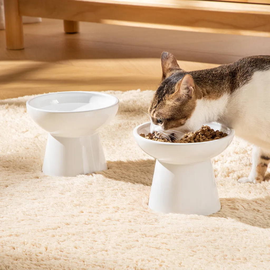 Gamelle surélevée en faïence blanche : évite les vomissements du chat