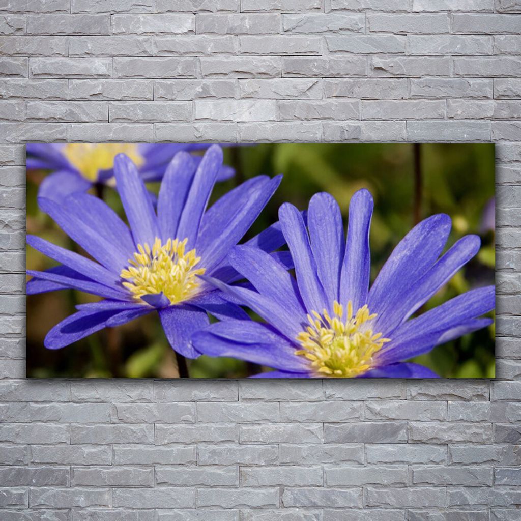 Glasbilder 120x60 Wandbild Druck auf Glas Blumen Pflanzen