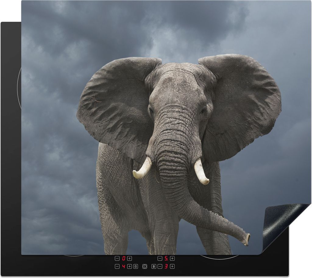 KitchenYeah Herdabdeckplatte Elefant - Wolken - Tiere - Natur , 60x52cm, Küche Deko, Glaskeramikkochfeld Herdabdeckung, Abdeckplatte fùr Kochfeld