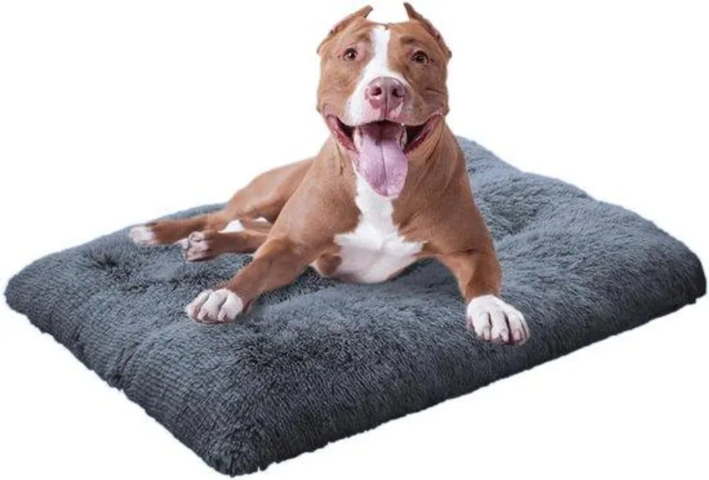 Couchage pour chien de taille moyenne lit confortable et stable amovible
