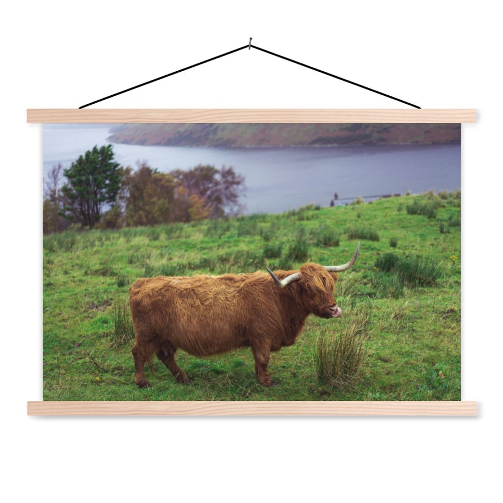 MuchoWow Textilposter Schottische Highlander - Gras - Wasser - Tiere 60x40 cm mit holzfarbenen Rahmen - Bilder