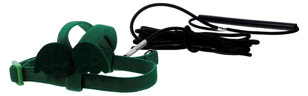 Papageien Flugtrainingsleine und Vogelgeschirr mit süßen Flügeln, grünes Nylon, Outdoor Vogel Haltegeschirr für Sittiche und Kleinvögel