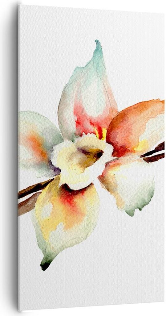 Bild auf Leinwand - Leinwandbild - Vanille Gewürz Blume Pflanze - 65x120cm - Wand Bild - Wanddeko - Leinwanddruck - Bilder - Kunstdruck - Wanddeko...