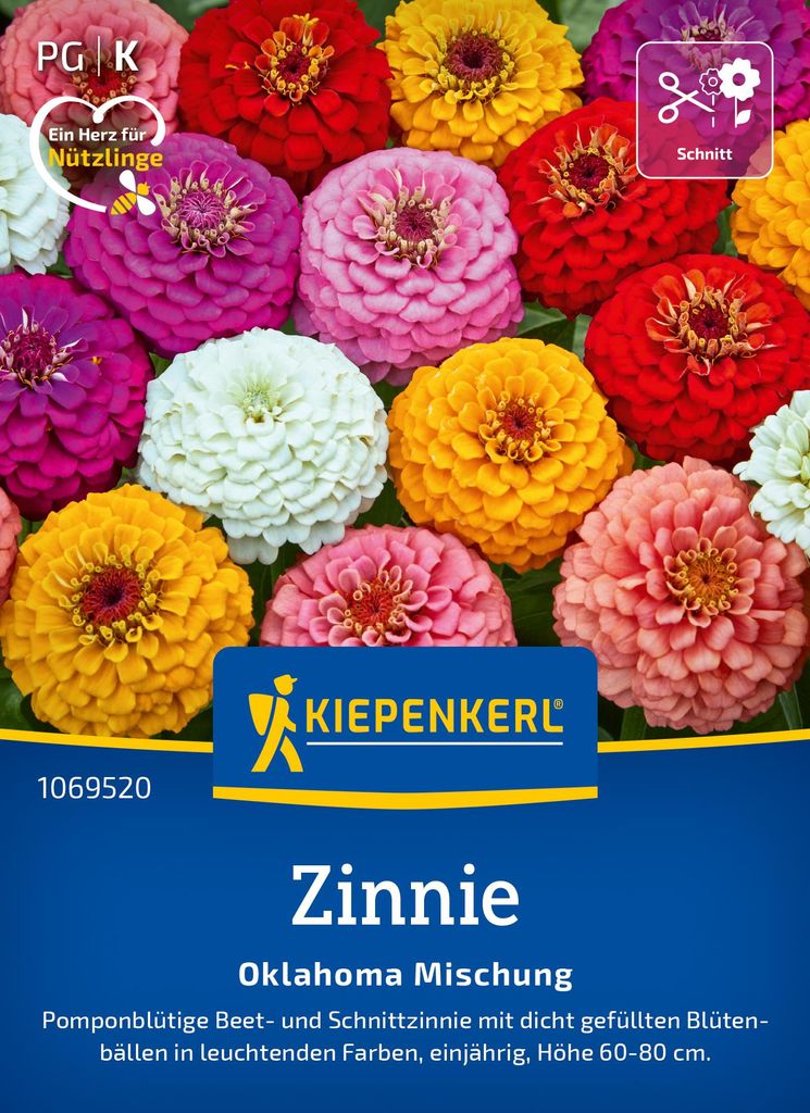 Kiepenkerl Zinniensamen Oklahoma Zinnia elegans 50 Pflanzen