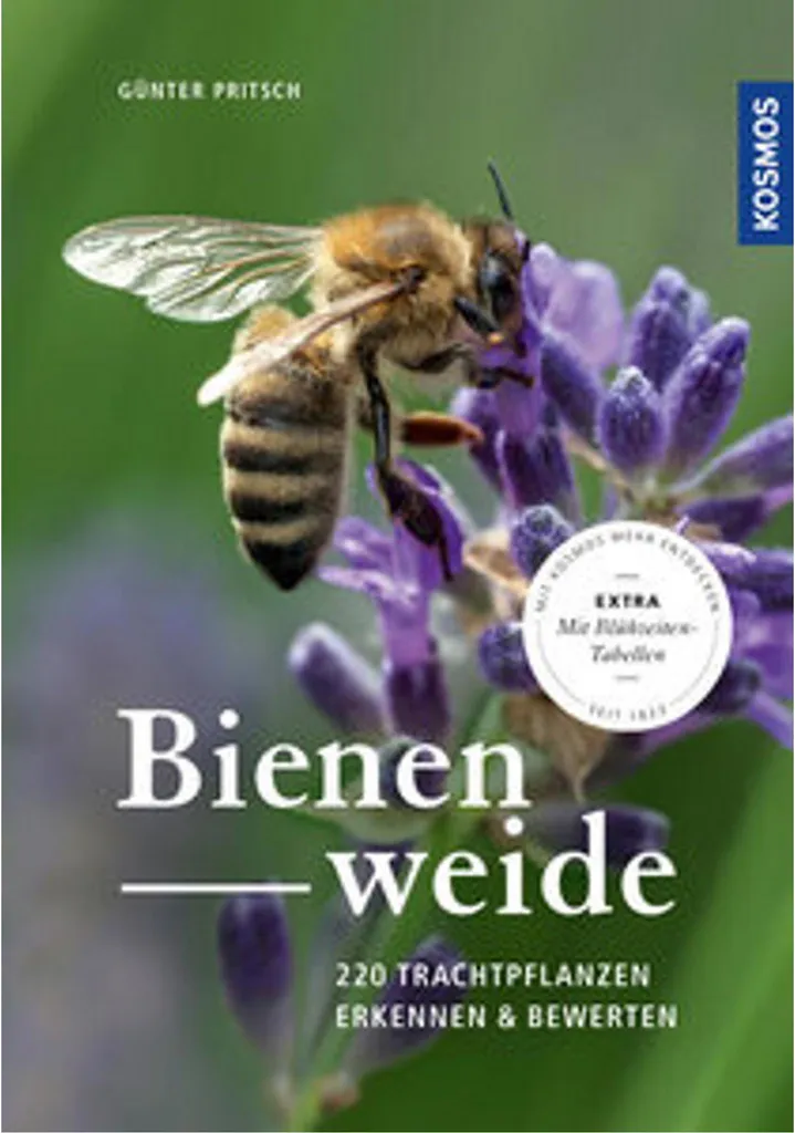 Aménager un Jardin Écologique avec le Semis Mellifère Bienenweide Pro