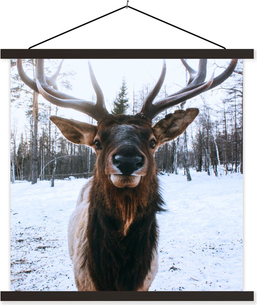 MuchoWow Textilposter Rotwild - Schnee - Geweih 40x40 cm mit schwarzem Rahmen - Fotos