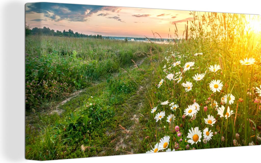 OneMillionCanvasses - Leinwandbilder - Bild auf Leinwand Wandbild Leinwandbild Blumen - Gänseblümchen - Natur - Sonne - Horizont, 40x20 cm, Kun...