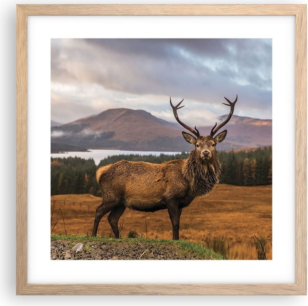 Gerahmtes Poster - Rahmen in heller Eiche - Rehe Wiese Berge - 40x40 cm - Wand Bild - Wanddeko - Wandbilder - Kunstposter - Wandposter - Bilderrahm...
