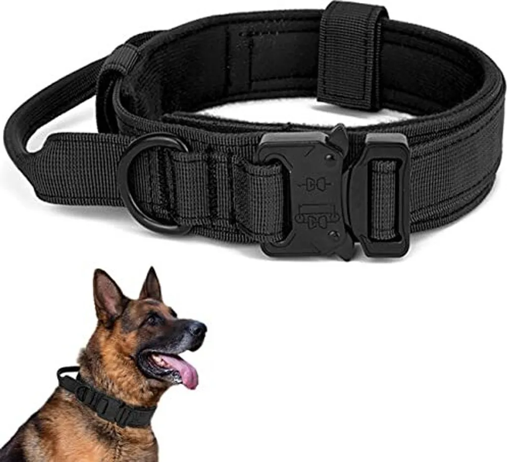 Collare Militare Cane con Maniglia | Robustezza Outdoor e Fibbia Metallo