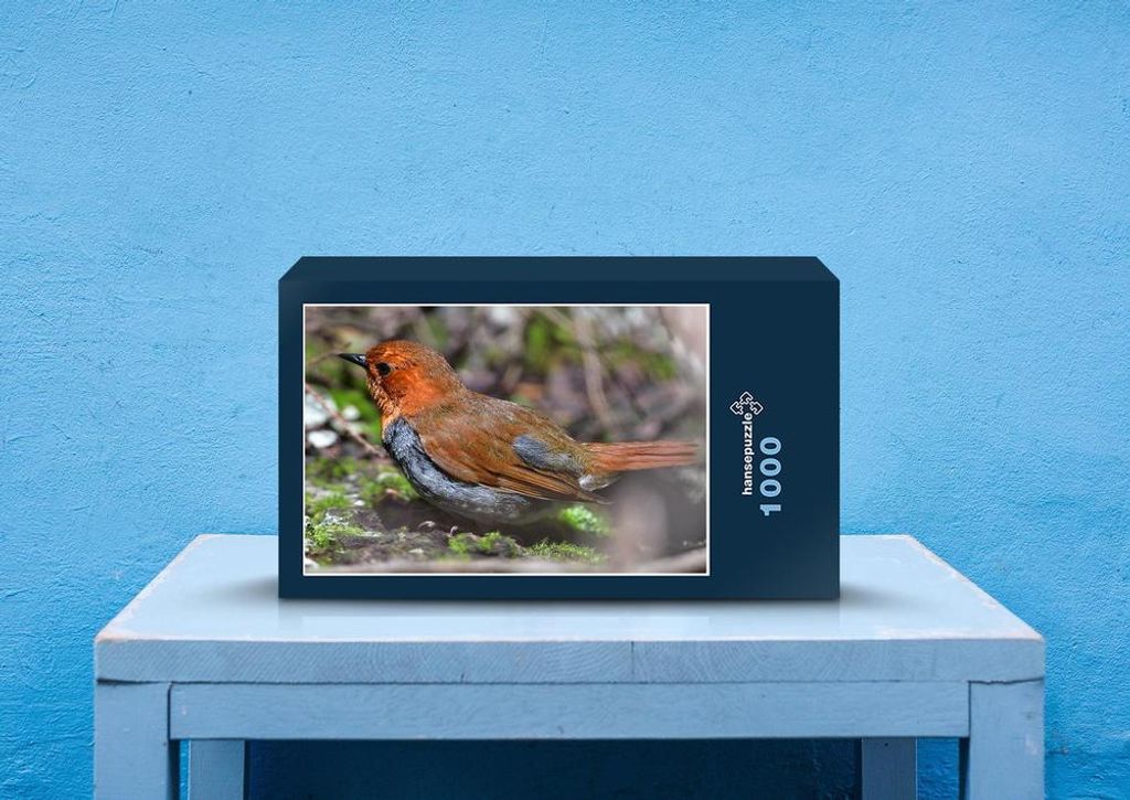 hansepuzzle 71839 - Vogel Puzzle, 1000 Teile, Tierwelt, 60,0 x 46,0cm mit hochwertiger Aufbewahrung, Kartonbox und wiederverschließbarem Beutel