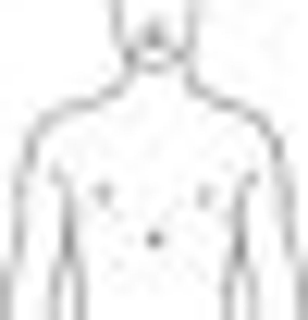 Bort Schulter-Arm-Adduktionsorthese OmoXpress, grau>>>>Gr. 2