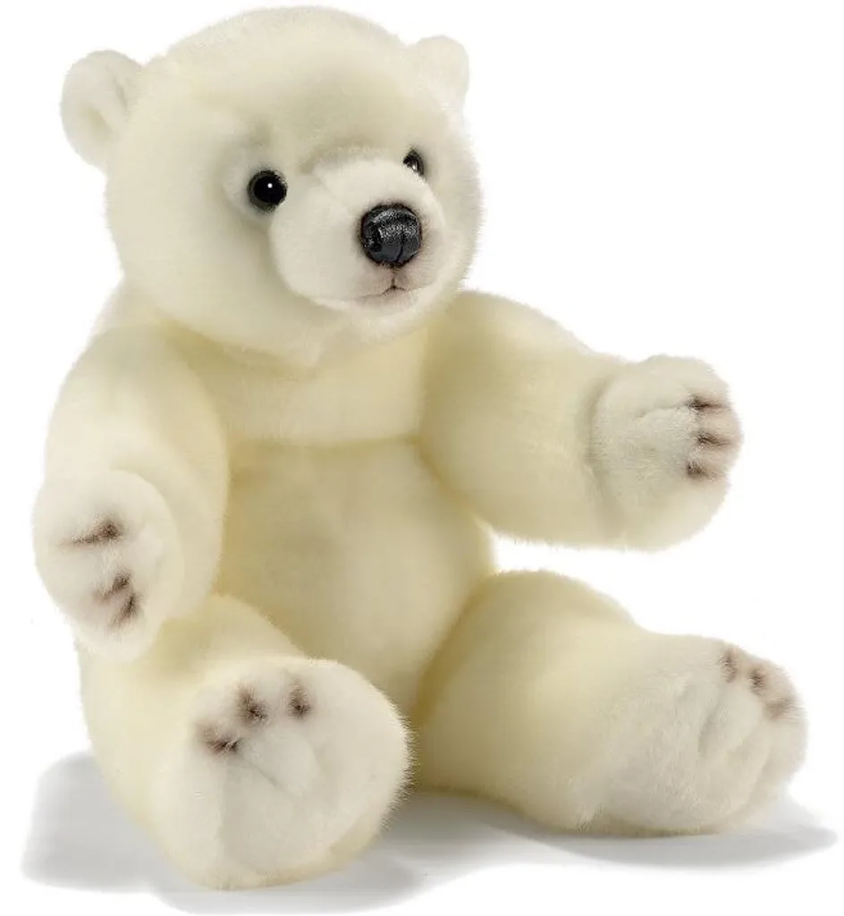 Anima 1810 Ours Polaire 40 cm : Peluche de Collection Réaliste Anima