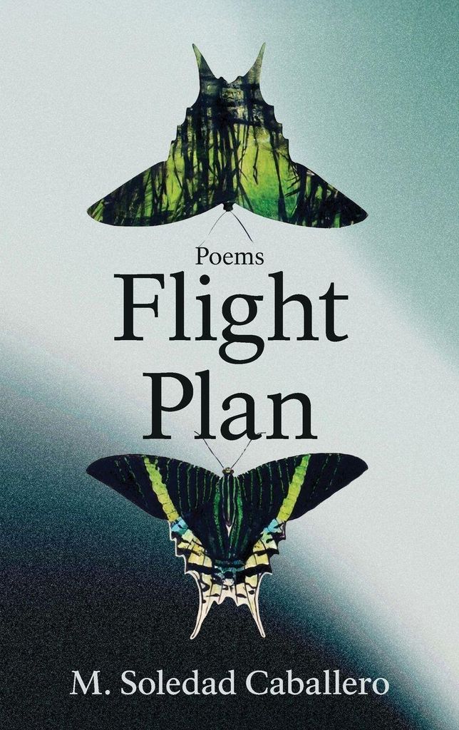 Flight Plan