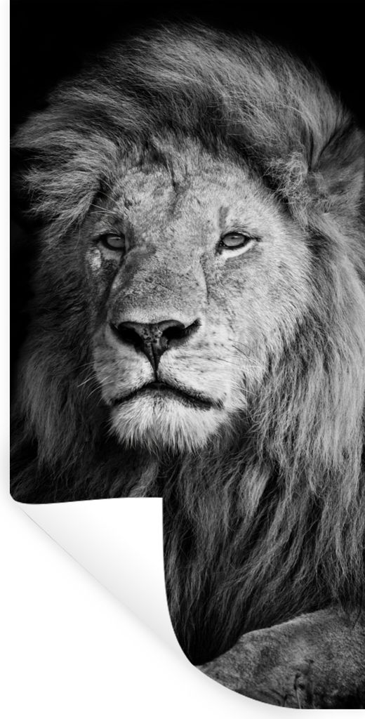 MuchoWow Wandtattoo Wandsticker Wandaufkleber Wildlife - Löwe - Schwarz - Weiß 20x40 cm Selbstklebend und Repositionierbar - Selbstklebend - Fo...