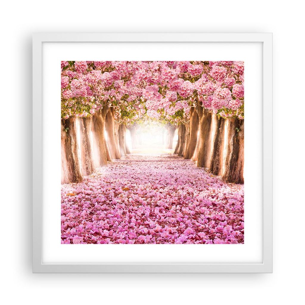 Gerahmtes Poster - Weißer Rahmen - Baum Blumen Kirsche Natur - 40x40 cm - Wand Bild - Wanddeko - Wandbilder - Kunstposter - Wandposter - Bilderrah...