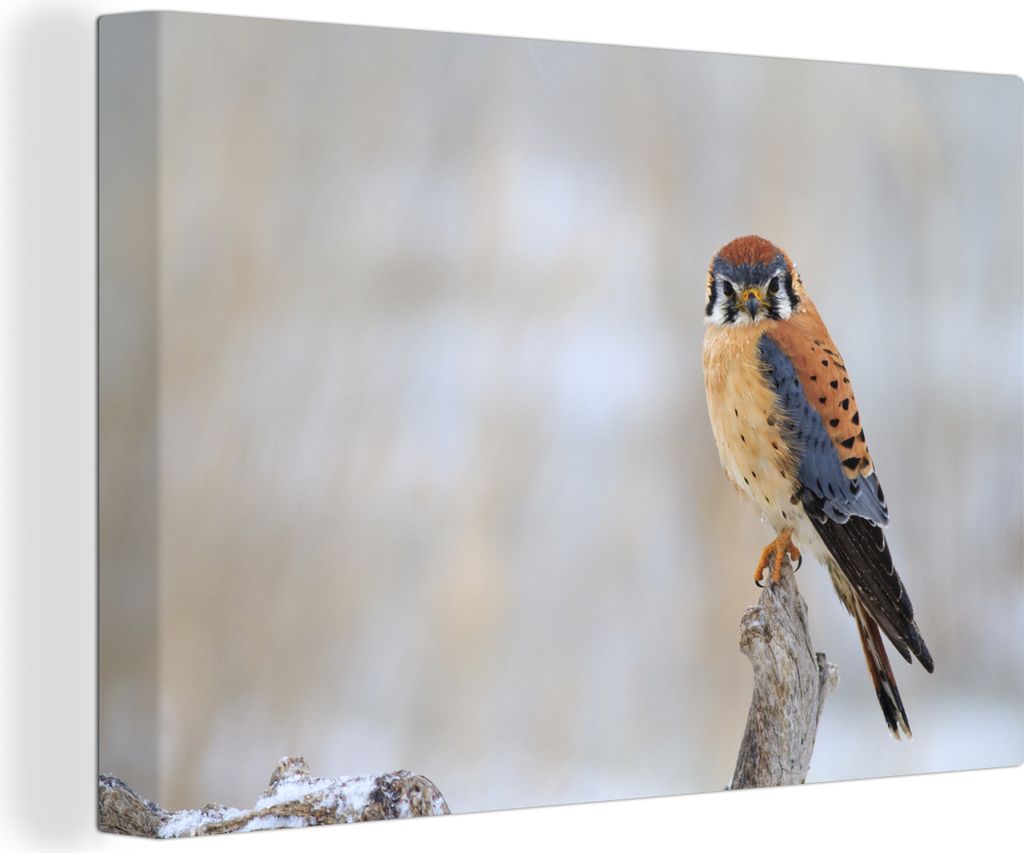 OneMillionCanvasses - Leinwandbilder - 140x90 cm, Vogel - Zweig - Schnee, Wandbilder Kunstdruck Wanddekoration - Foto auf Leinwand - Gemälde auf...