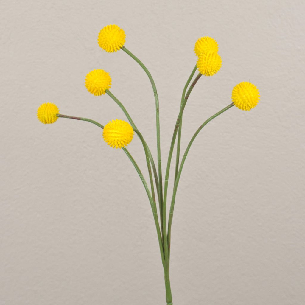 artplants.de Künstliche Craspedia Globosa STEPHANOS, gelb, 60cm, Ø2,5-3cm - Kunst Craspedia Globosa
