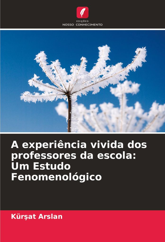A experiência vivida dos professores da escola: Um Estudo Fenomenológico