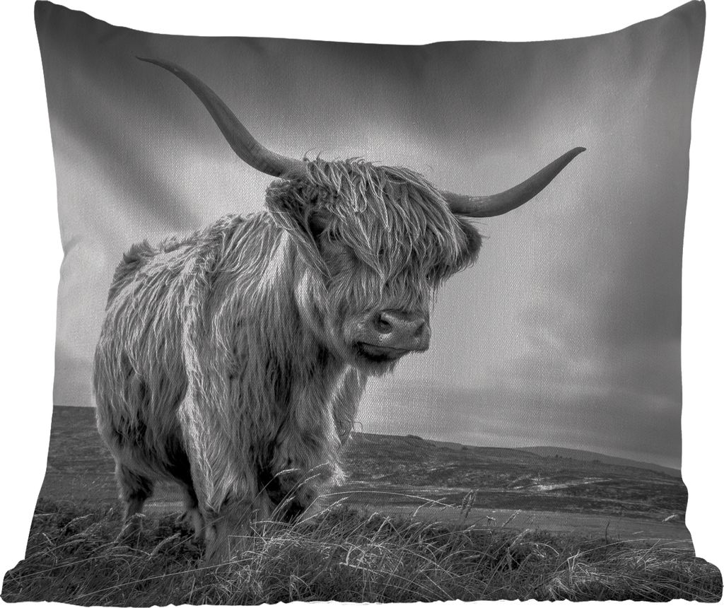 MuchoWow Outdoor Kissen - Kühe - Schottische Hochlandkühe - Natur - Tiere - Schwarz und weiß - 60x60 cm - Wetterfest - Lounge Kissen - Dekorat...