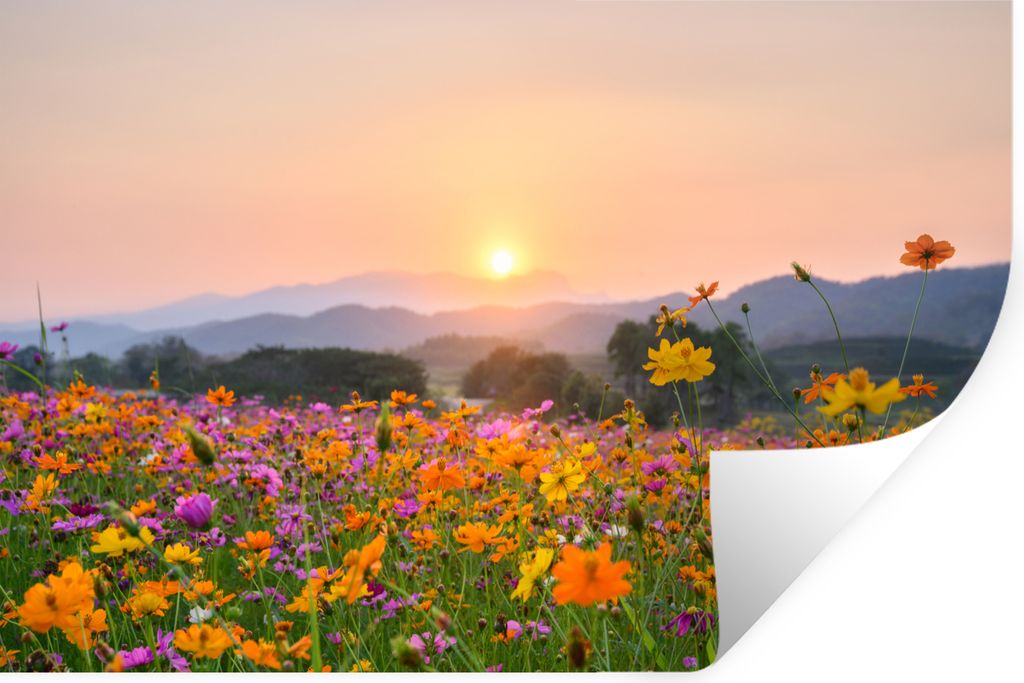 MuchoWow Wandtattoo Wandsticker Wandaufkleber Blumen - Sonnenuntergang - Berg 30x20 cm Selbstklebend und Repositionierbar - Wierderverwendbar - S...