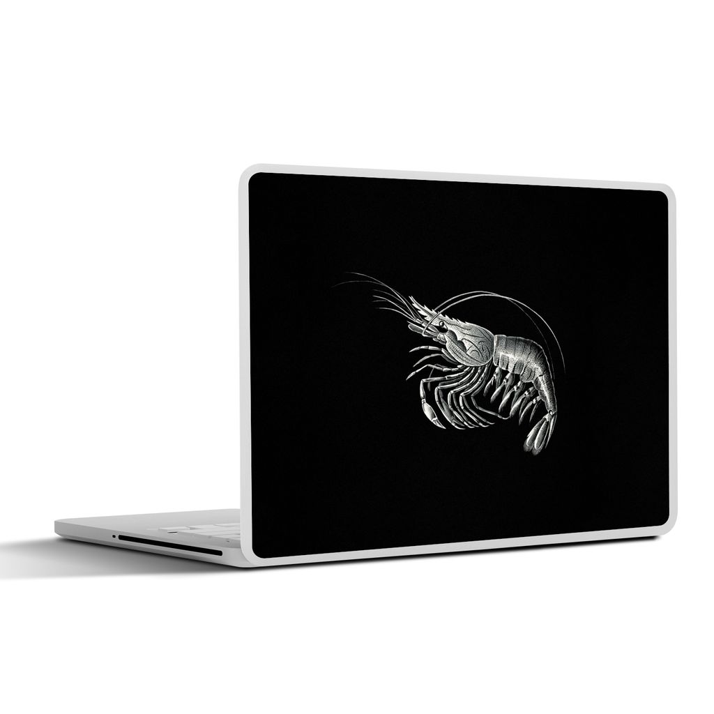 MuchoWow Laptop Aufkleber Sticker Cover Shrimps - Vintage - Ernst Haeckel - Tiere - Kunst 36.5x27.5 cm - Laptop-Sticker