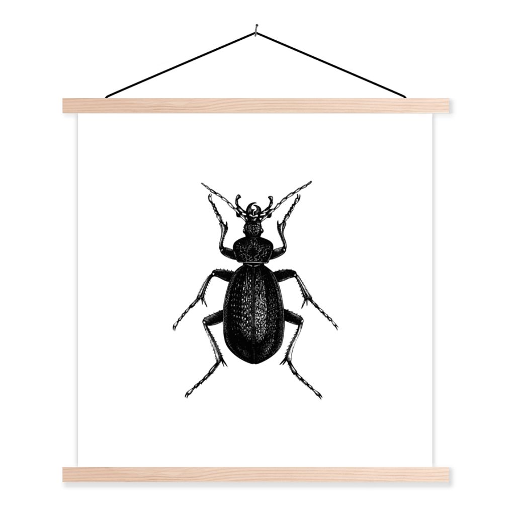 MuchoWow Textilposter Schwarz und weiß - Käfer - Vintage - Insekten 120x120 cm mit holzfarbenen Rahmen - Textil-Poster