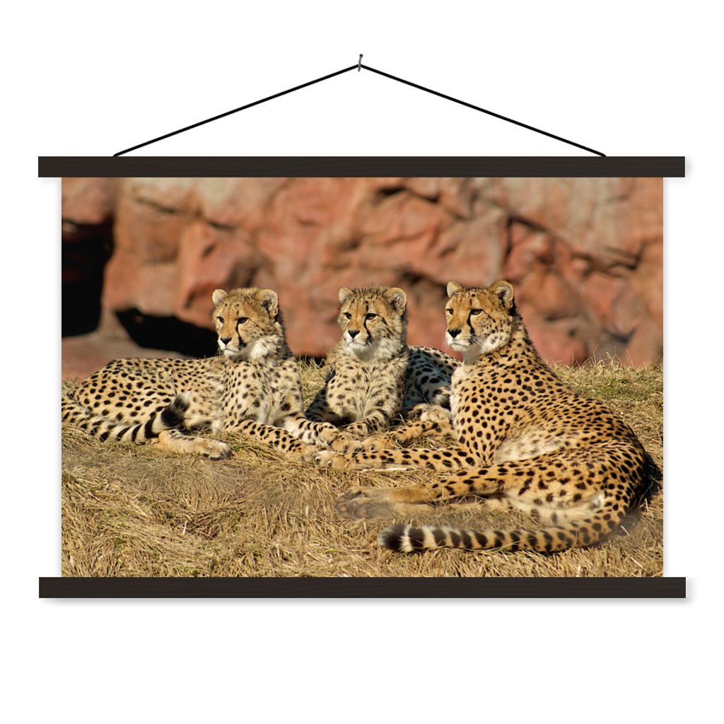 MuchoWow Textilposter Gepardenmutter und -junge 150x100 cm mit schwarzem Rahmen - Schlafzimmer