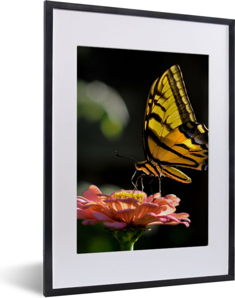 MuchoWow Gerahmtes Poster Schmetterling - Botanisch - Blume 30x40 cm - Poster mit Schwarzem Bilderrahmen Wandposter Rahmen Foto Bilder - Wandpost...