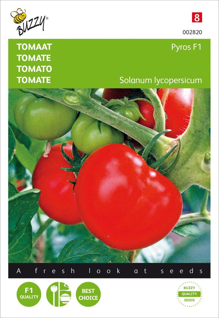 Tomate Pyros F1 | Tomatensamen von Buzzy Seeds