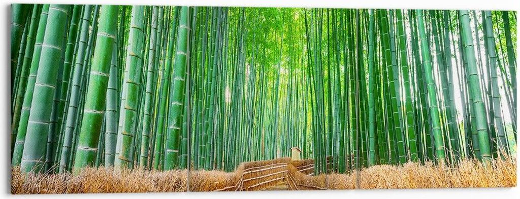 Bild auf Leinwand - Leinwandbild - Bambus Pflanze - 150x50cm - Wand Bild - Wanddeko - Wandbilder - Leinwanddruck - Bilder - Kunstdruck - Wanddekora...