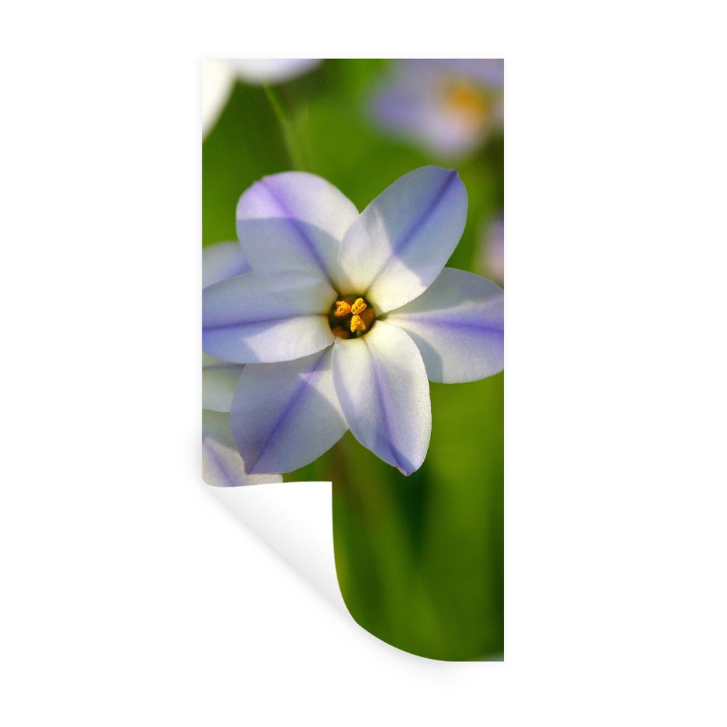 MuchoWow Wandtattoo Wandsticker Wandaufkleber Blumen - Garten - Lila 20x40 cm Selbstklebend und Repositionierbar - Selbstklebend - Fototapeten