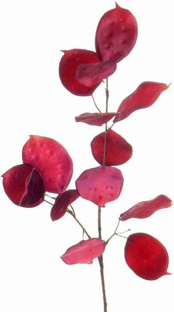 artplants.de Deko Zweig Lunaria Zweig JEPPE, pink, 60cm - Silberblatt - Zweig - Dekozweig