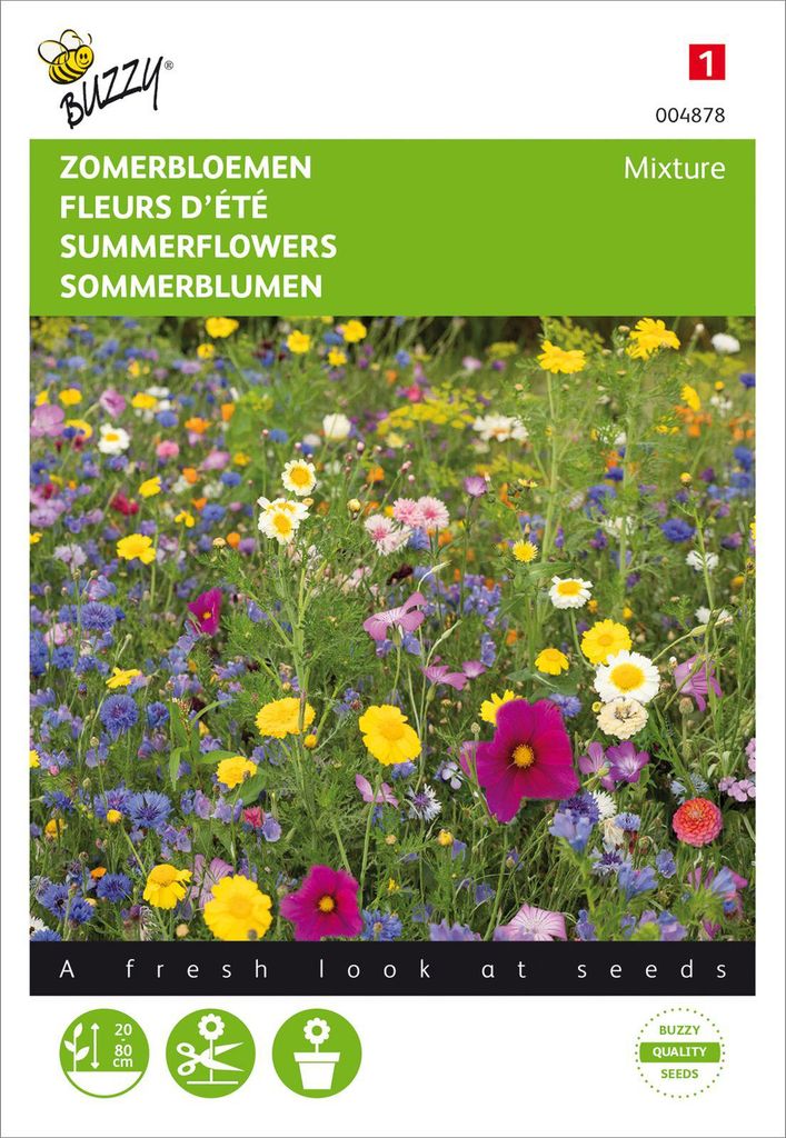 Sommerblumen Mischung | Blumensamenmischung von Buzzy Seeds