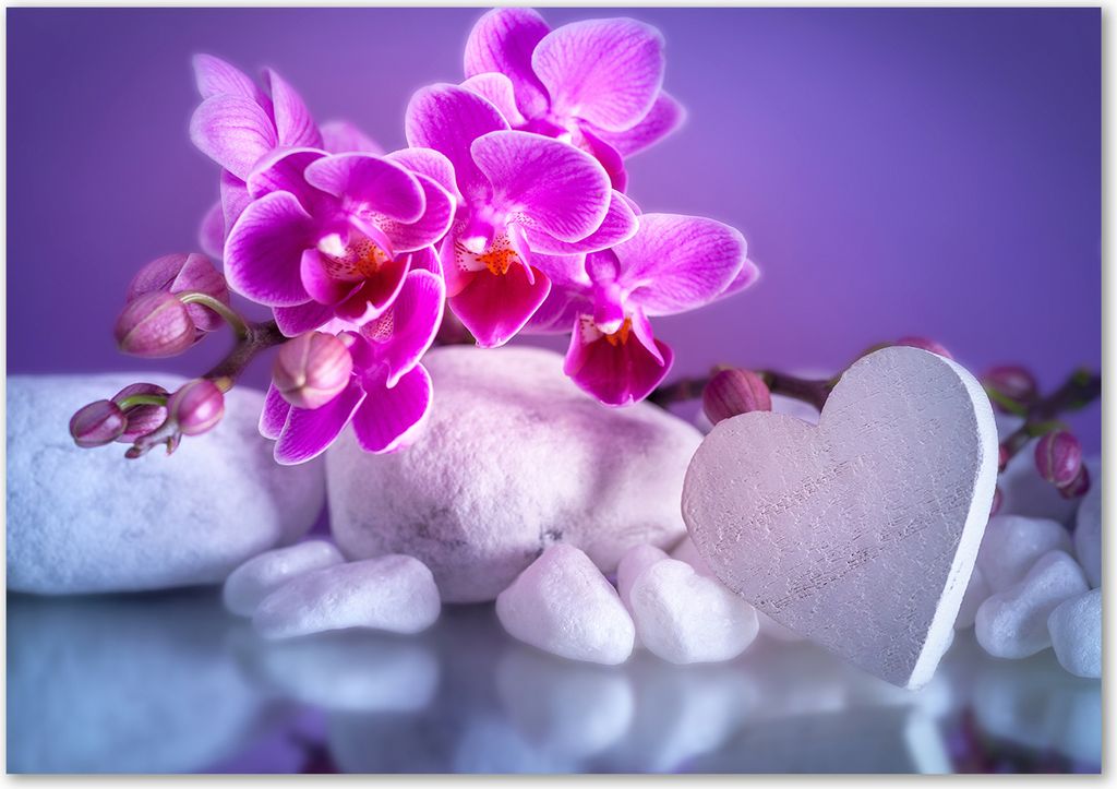 Tulup Leinwandbild - 100x70 cm - Wandkunst - Drucke auf Leinwand - Leinwanddruck - Blumen & Pflanzen - Rosa - Orchidee Herz