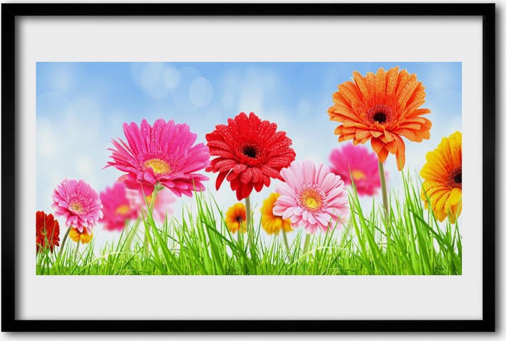 Bild 60x40 MDF-Rahmen Wandkunst Blumen Grass Pflanze Produktbild 